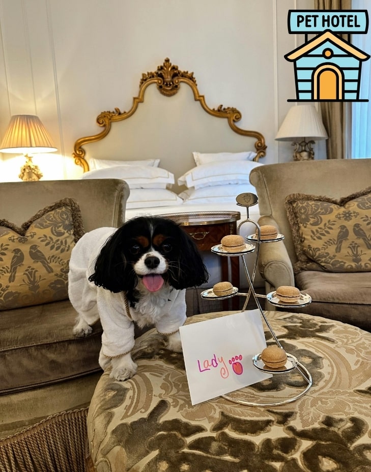 adana veteriner kliniği